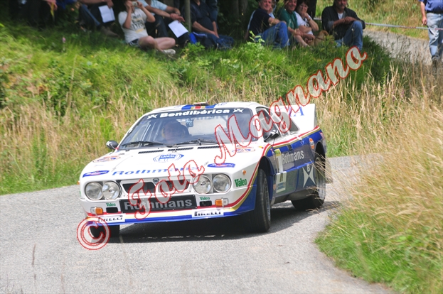 DSC_2009.jpg